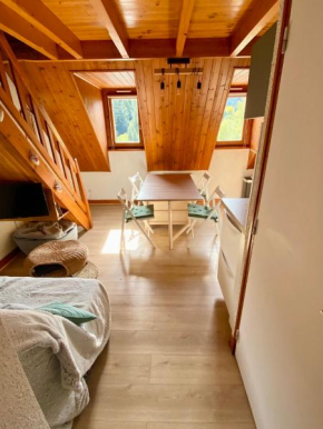 Appartement Chalet à 1400m - Station du Mourtis Boutx